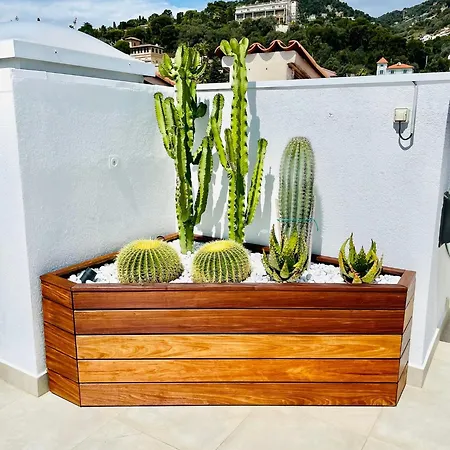 Palace - Rooftop Vue بوليو سور مير