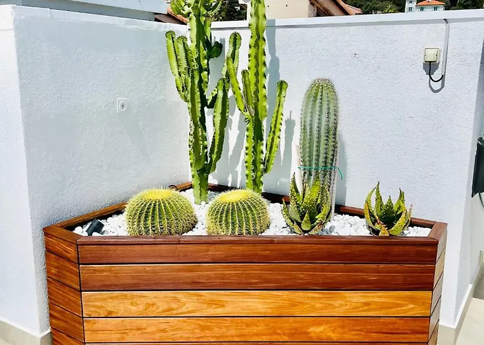 Palace - Rooftop Vue Beaulieu-sur-Mer